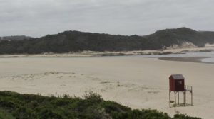 img_20170909_124109.jpg